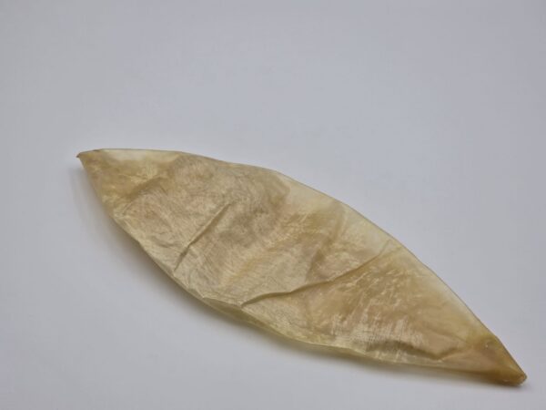 Pęcherz wieprzowy suszony